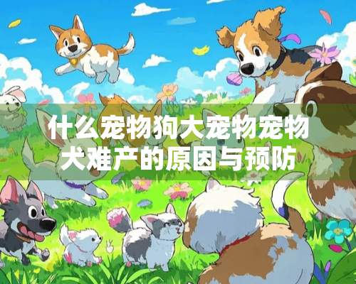 什么宠物狗大宠物宠物犬难产的原因与预防