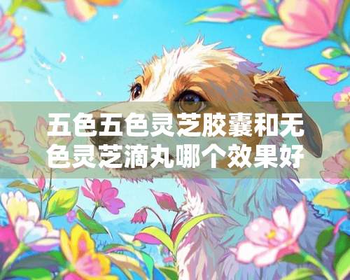 五色五色灵芝胶囊和无色灵芝滴丸哪个效果好