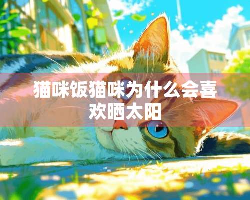 猫咪饭猫咪为什么会喜欢晒太阳