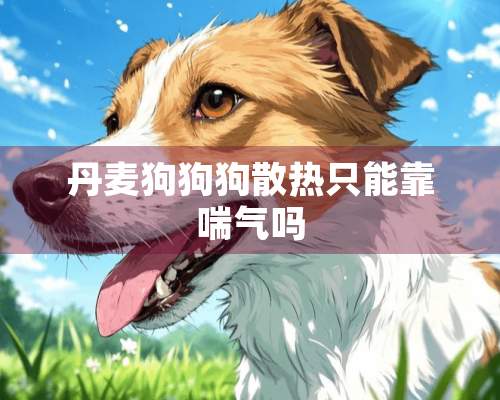 丹麦狗狗狗散热只能靠喘气吗