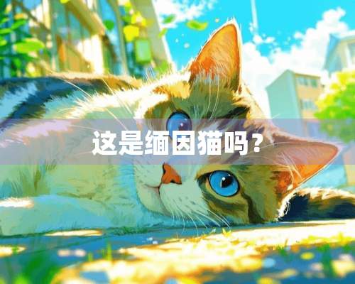 这是缅因猫吗？