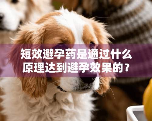 短效避孕药是通过什么原理达到避孕效果的？