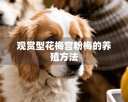 观赏型花梅宫粉梅的养殖方法