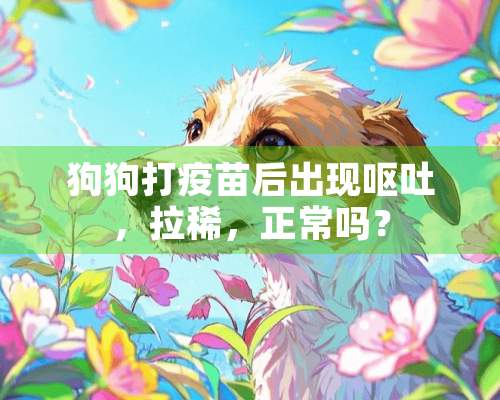 狗狗打疫苗后出现呕吐，拉稀，正常吗？