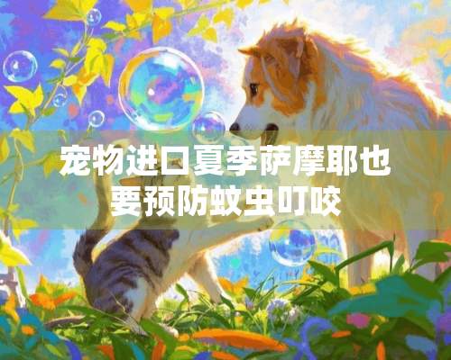 宠物进口夏季萨摩耶也要预防蚊虫叮咬