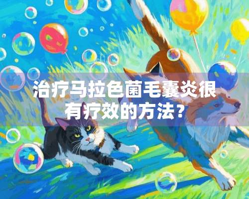 治疗马拉色菌毛囊炎很有疗效的方法？