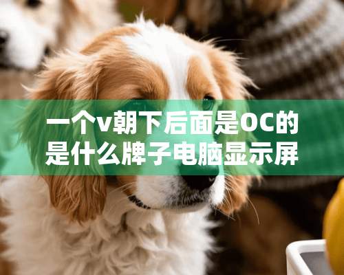 一个v朝下后面是OC的是什么牌子电脑显示屏