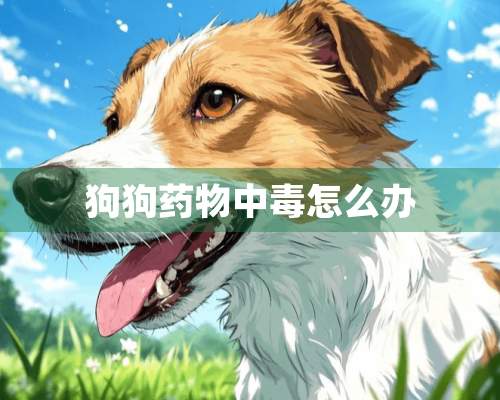 狗狗药物中毒怎么办