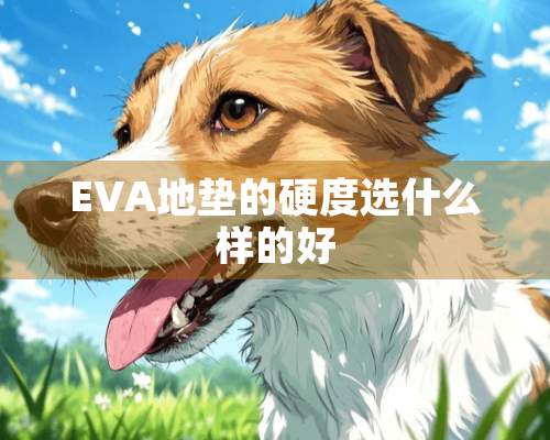 EVA地垫的硬度选什么样的好