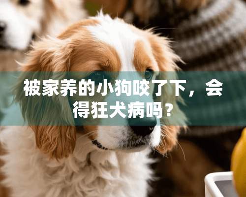 被家养的小狗咬了下，会得狂犬病吗？