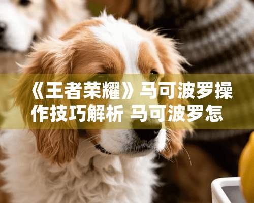 《王者荣耀》马可波罗操作技巧解析 马可波罗怎么玩