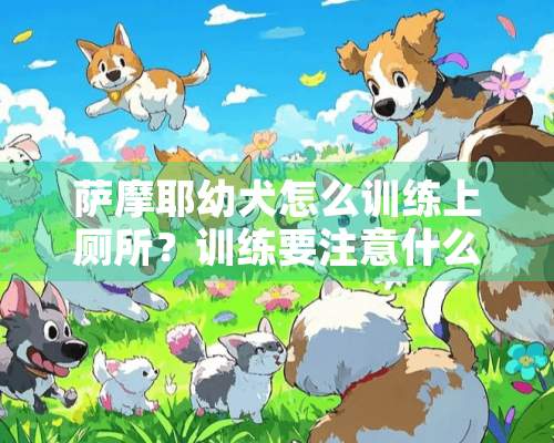 萨摩耶幼犬怎么训练上厕所？训练要注意什么事项？