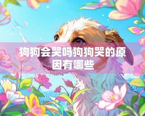 狗狗会哭吗狗狗哭的原因有哪些