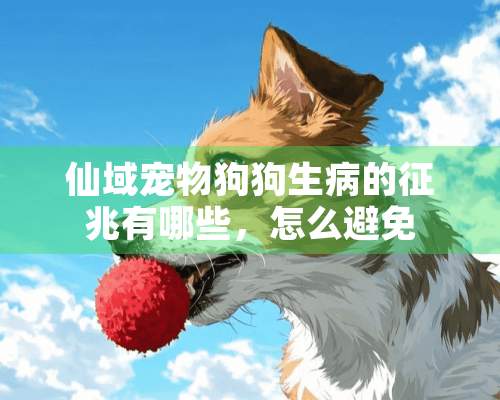 仙域宠物狗狗生病的征兆有哪些，怎么避免