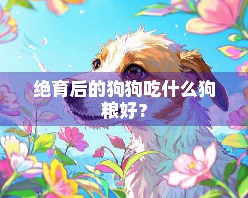 绝育后的狗狗吃什么狗粮好？