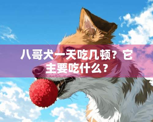 八哥犬一天吃几顿？它主要吃什么？