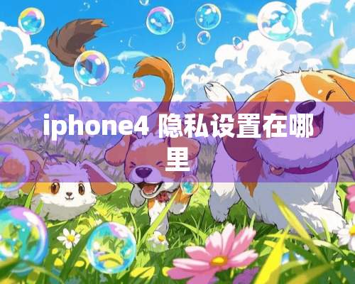 iphone4 隐私设置在哪里