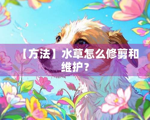 【方法】水草怎么修剪和维护？