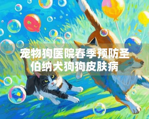 宠物狗医院春季预防圣伯纳犬狗狗皮肤病