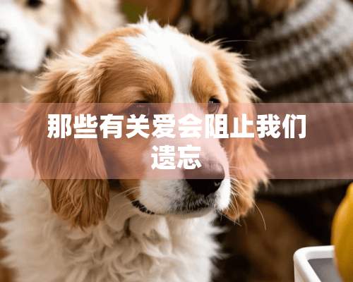 那些有关爱会阻止我们遗忘