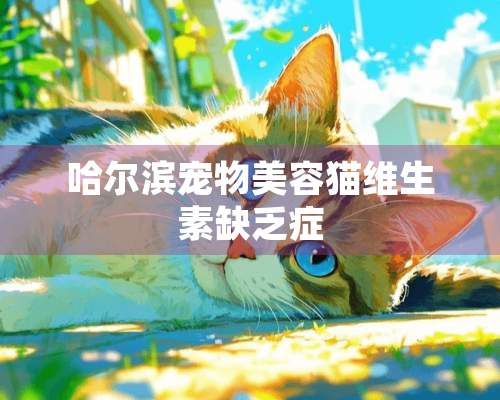 哈尔滨宠物美容猫维生素缺乏症