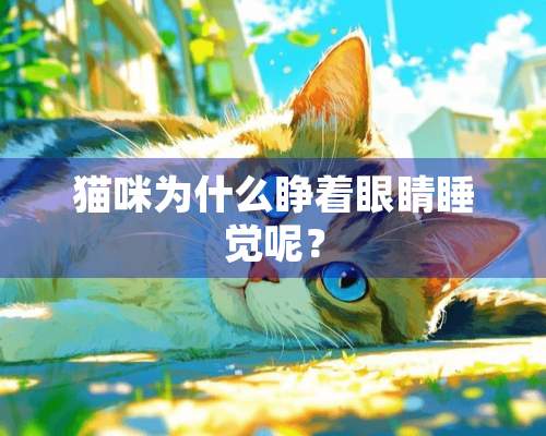 猫咪为什么睁着眼睛睡觉呢？