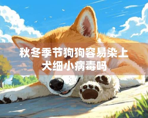 秋冬季节狗狗容易染上犬细小**吗