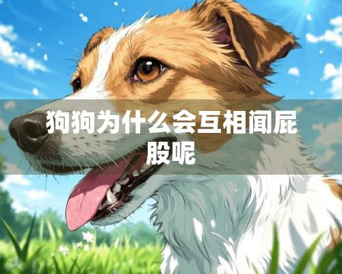 狗狗为什么会互相闻**呢