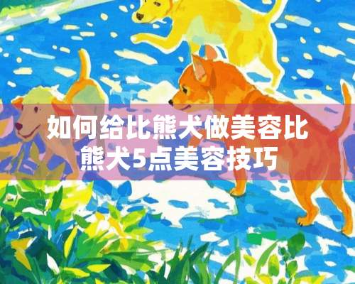 如何给比熊犬做美容比熊犬5点美容技巧