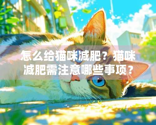 怎么给猫咪减肥？猫咪减肥需注意哪些事项？