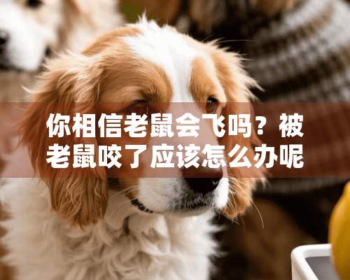 你相信老鼠会飞吗？被老鼠咬了应该怎么办呢？