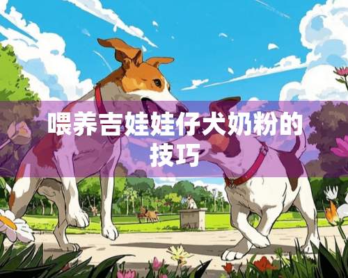 喂养吉娃娃仔犬奶粉的技巧