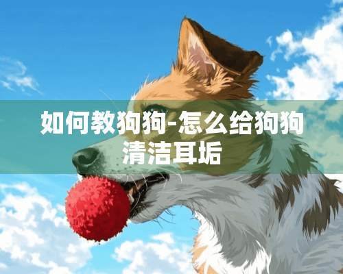 如何教狗狗-怎么给狗狗清洁耳垢