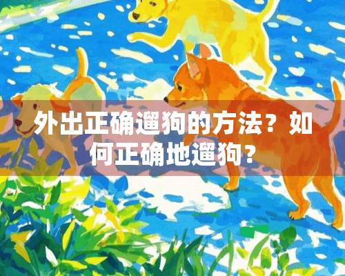 外出正确遛狗的方法？如何正确地遛狗？