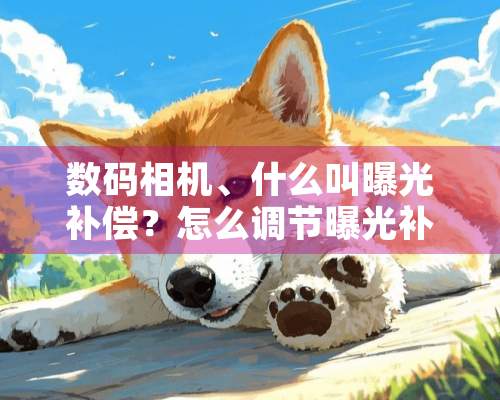 数码相机、什么叫曝光补偿？怎么调节曝光补偿？