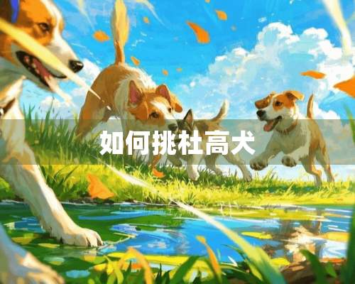 如何挑杜高犬