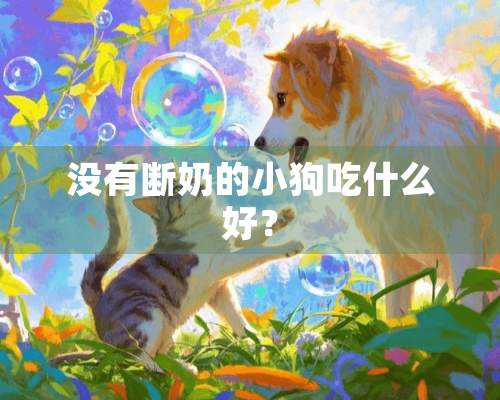 没有断奶的小狗吃什么好？