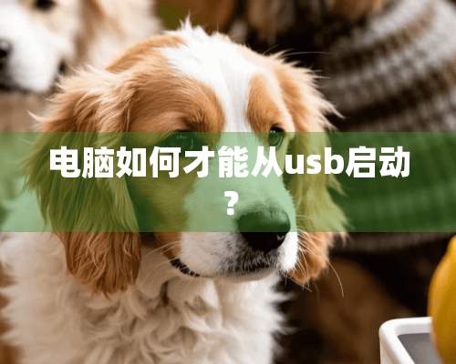 电脑如何才能从usb启动？