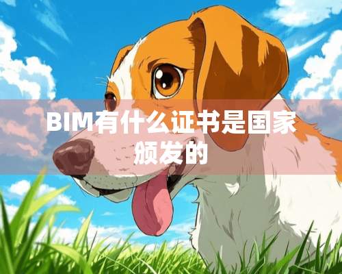 BIM有什么证书是国家颁发的