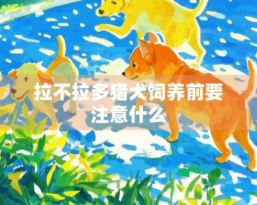 拉不拉多猎犬饲养前要注意什么