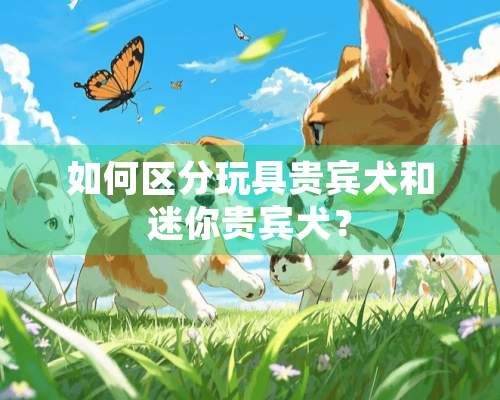 如何区分玩具贵宾犬和迷你贵宾犬？