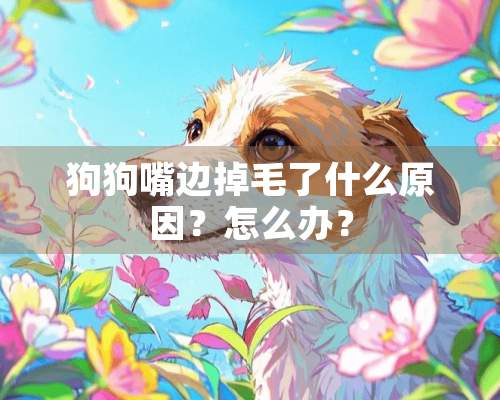 狗狗嘴边掉毛了什么原因？怎么办？