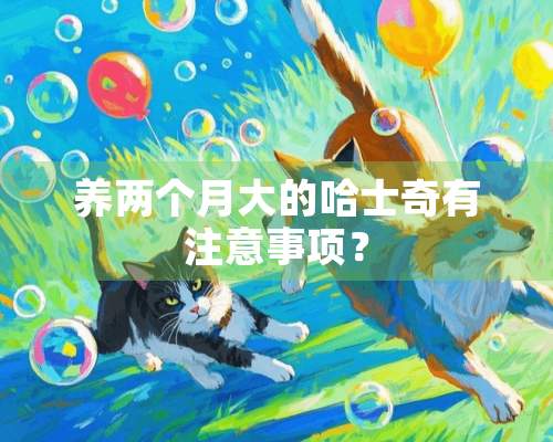 养两个月大的哈士奇有注意事项？