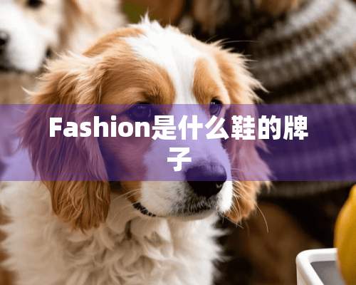 Fashion是什么鞋的牌子