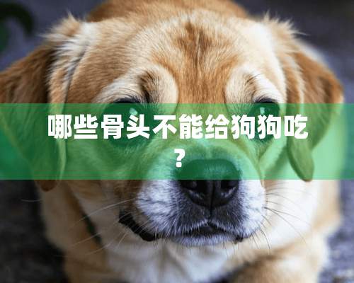 哪些骨头不能给狗狗吃？