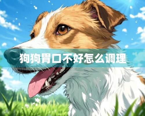 狗狗胃口不好怎么调理