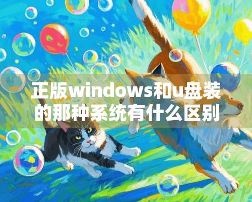 正版windows和u盘装的那种系统有什么区别