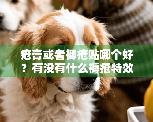 疮膏或者褥疮贴哪个好？有没有什么褥疮特效药？