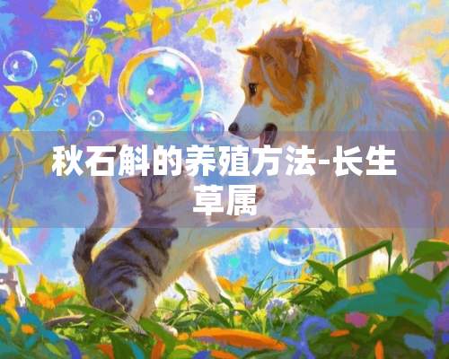 秋石斛的养殖方法-长生草属