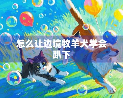 怎么让边境牧羊犬学会趴下